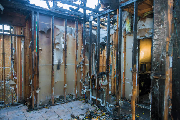 Professional Fire Damage Removal technician working in Salem, WV